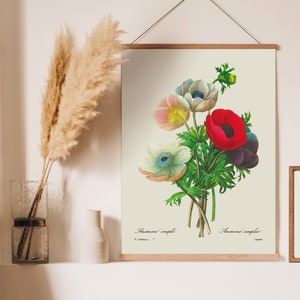 Anemone Simple No. 7 Redouté Giclée Print, Vintage Botanical Print, Illustration, French Botanical Print, Vintage Flower Art, Engraving