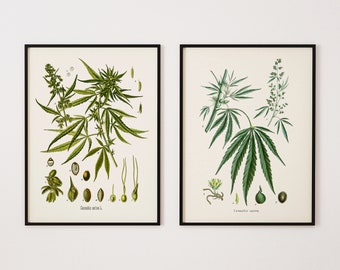 Cannabis Sativa Marijuana Hemp Posters 12 Print Set Botanical Art Print