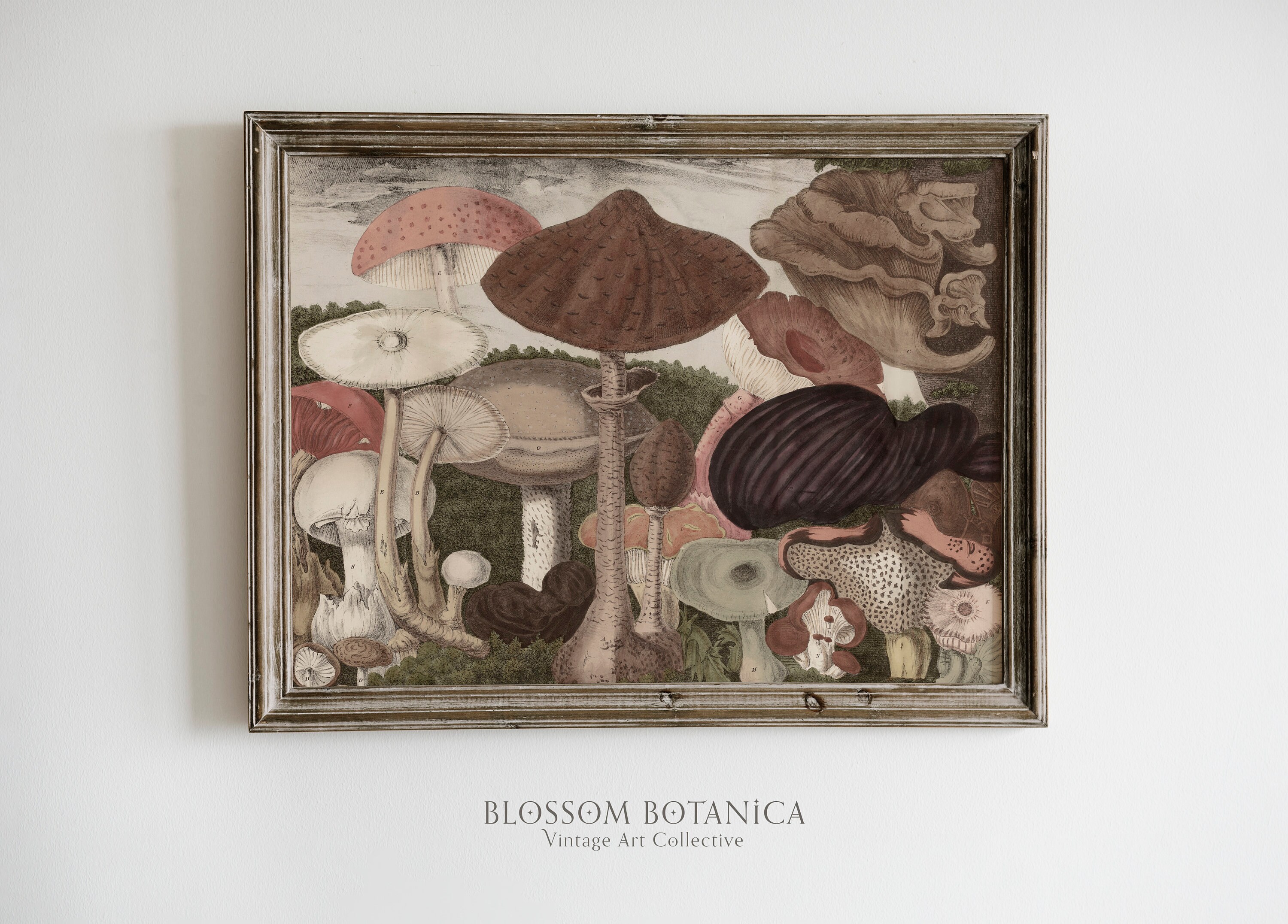 Mushroom Forest, Vintage Mushroom Print, Dark Academia, Dark Botanical Art, Dark French Country, Cottagecore, Rustic Art, Moody Art Print