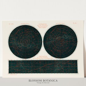 2 つの半球の星座 (1877) | 夜空の天体図 | 19 世紀 | 占星術アート | ジクレー プリント | アメデ ギユマン
