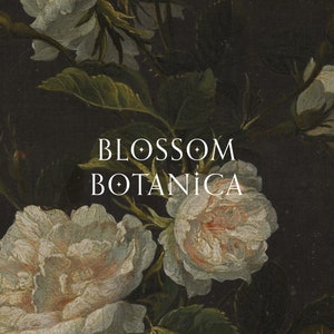 May include: A close-up of white roses with green leaves against a dark background. The text "BLOSSOM BOTANICA" is displayed in white.