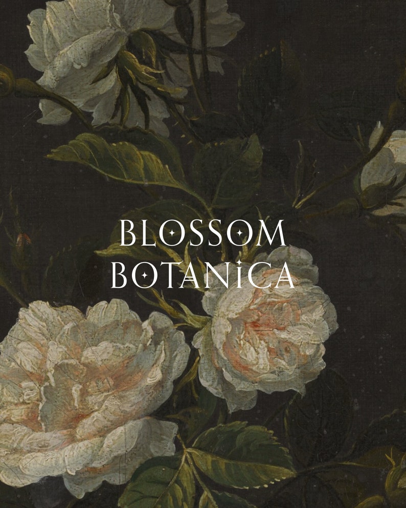 May include: A close-up of white roses with green leaves against a dark background. The text "BLOSSOM BOTANICA" is displayed in white.