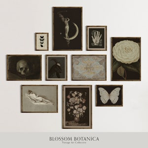 Op de afbeelding: Een galeriewand met vintage botanische prints in zwart-witte frames. De prints tonen een schedel, een geit, een vlinder, een bloem, een hand, een vrouw en een kaart.
