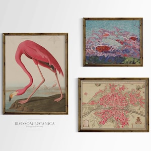 Vintage Galeriewand, antike Kunstdrucke, Landschaftskunst, rosa Flamingodruck, Audubon Vögel, Karte von Paris, Impressionist, Vintage Art Set