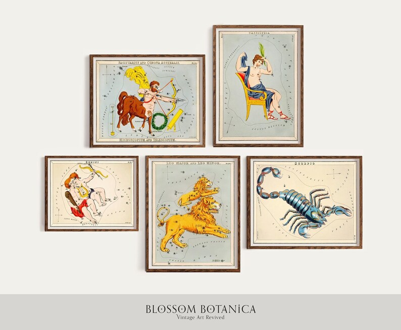 May include: Five framed vintage constellation prints. Each print features a different zodiac sign illustration with detailed drawings and text. The frames are dark wood, and the prints have a light blue background. The bottom of the image has the text "BLOSSOM BOTANICA Vintage Art Revived."