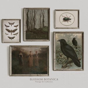May include: A collection of vintage botanical prints in ornate frames. The prints feature a forest scene, a beetle, and two ravens. The prints are arranged in a grid pattern on a white wall. The text "BLOSSOM BOTANICA Vintage Art Collective" is printed below the prints.