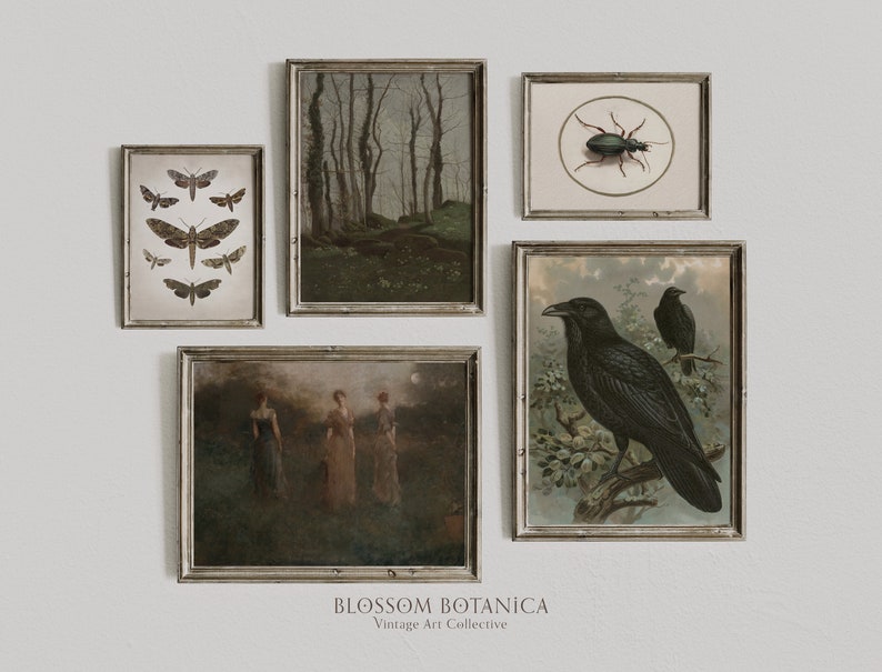 May include: A collection of vintage botanical prints in ornate frames. The prints feature a forest scene, a beetle, and two ravens. The prints are arranged in a grid pattern on a white wall. The text "BLOSSOM BOTANICA Vintage Art Collective" is printed below the prints.