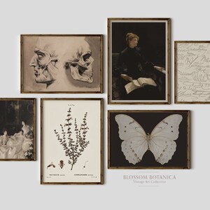 Mur de la galerie Dark Academia, Art mural d’Halloween, Art botanique vintage, Art gothique, Art de l’horreur, Esthétique sombre, Alter Ego, Impression papillon