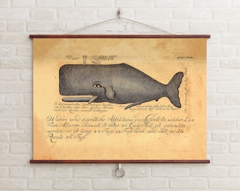 Vintage Whale Illustration, Antique Nautical Art, Professional Giclee Print, Horizontal Wall Art, Vintage Botanical Print, French Wall Art
