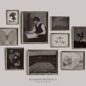 May include: A gallery wall of vintage botanical prints in black and white frames. The prints feature a butterfly, a dragonfly, a tree, a woman reading a book, a field of flowers, a landscape with a rainbow, and a house by a river. The text "BLOSSOM BOTANICA Vintage Art Collective" is at the bottom of the image.