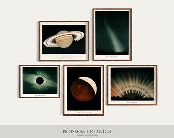 Astronomische Galeriewand, Illustrationen von 1876, Trouvelot Astronomiezeichnungen, E. L. Trouvelot, astrologische Kunst, Zodiac Art, Star Chart