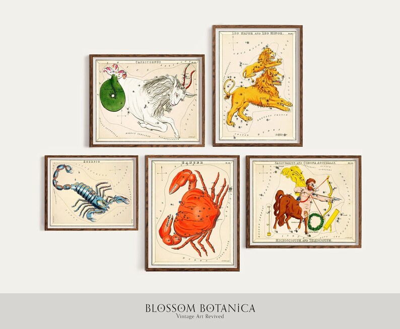 K&ouml;nnte beinhalten: F&uuml;nf Vintage-Illustrationen von Sternbildern, jeweils in einem braunen Holzrahmen gerahmt. Die Sternbilder sind Steinbock, L&ouml;we, Skorpion, Krebs und Sch&uuml;tze. Die Illustrationen sind im Stil alter wissenschaftlicher Illustrationen gehalten, mit detaillierten Zeichnungen der Sternbilder und ihrer Sterne.