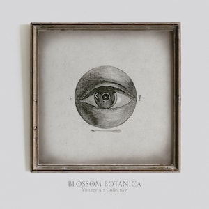 May include: A vintage anatomical illustration of a human eye in a black and white drawing style. The eye is surrounded by a circle and labeled with the letters "a" and "b". The image is framed in a wooden frame and has the text "BLOSSOM BOTANICA Vintage Art Collective" at the bottom.