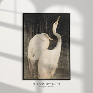 May include: A vintage-style illustration of two white herons standing in a dark, textured background. The herons are depicted in a realistic style with detailed feathers and delicate features. The background is a dark, almost black, with a subtle pattern of lines and dots. The image has a vintage aesthetic and evokes a sense of tranquility and nature.