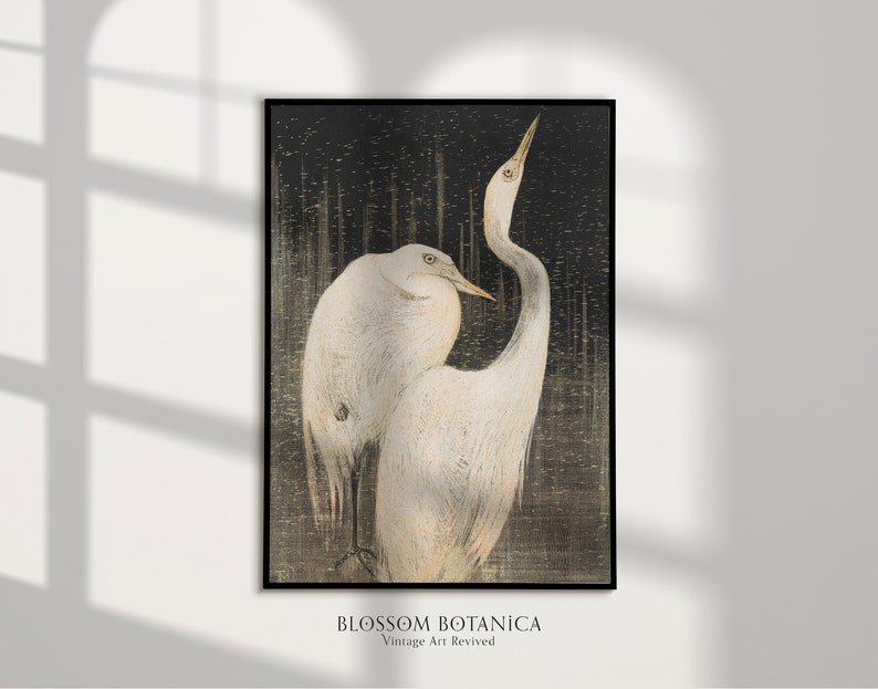 May include: A vintage-style illustration of two white herons standing in a dark, textured background. The herons are depicted in a realistic style with detailed feathers and delicate features. The background is a dark, almost black, with a subtle pattern of lines and dots. The image has a vintage aesthetic and evokes a sense of tranquility and nature.