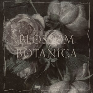 May include: A close-up of a bouquet of white peonies with a dark background. The text "BLOSSOM BOTANICA" is superimposed on the image.