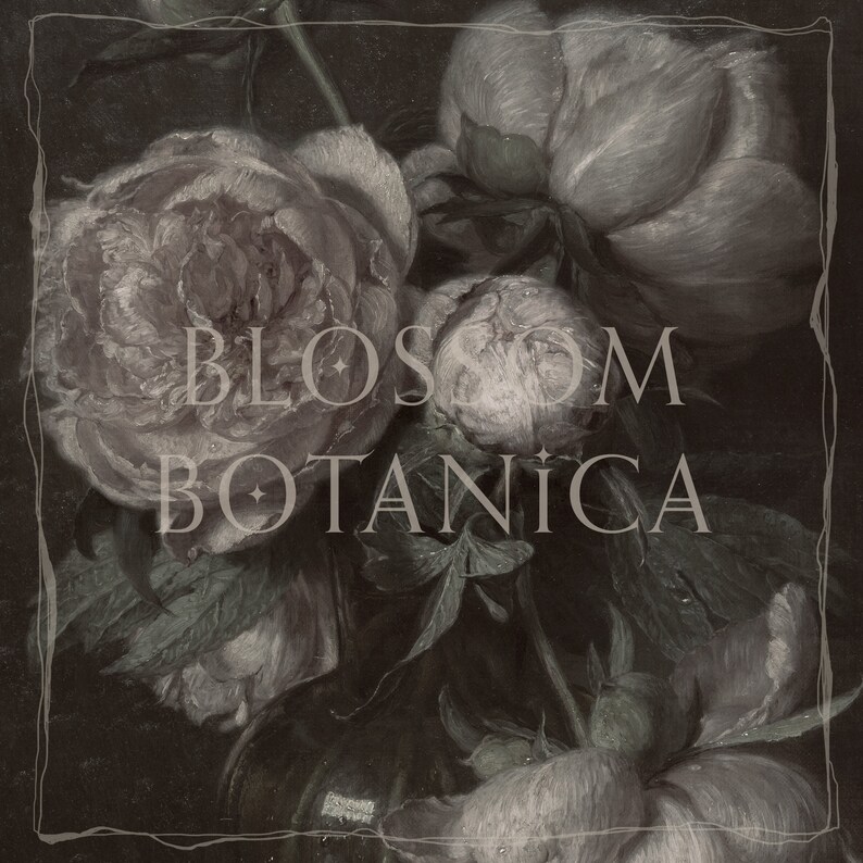 May include: A close-up of a bouquet of white peonies with a dark background. The text "BLOSSOM BOTANICA" is superimposed on the image.