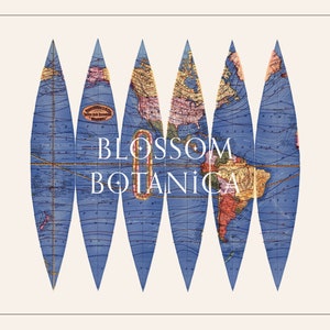 Puede incluir: Ilustraci&oacute;n de un mapa del mundo de estilo vintage, segmentado en seis secciones azules en forma de l&aacute;grima. El mapa presenta masas terrestres detalladas en tonos marr&oacute;n, verde y rojo, con el texto blanco "BLOSSOM BOTANICA". El fondo es de color crema suave.