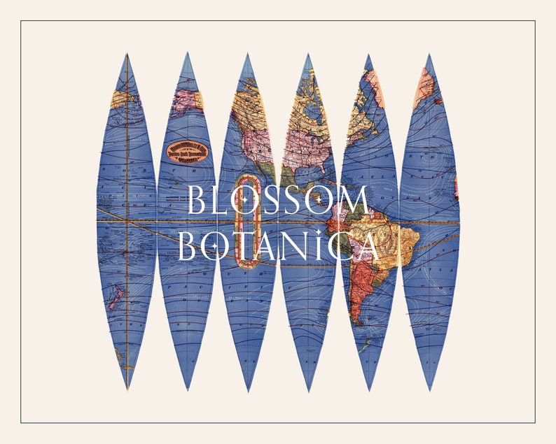 Puede incluir: Ilustraci&oacute;n de un mapa del mundo de estilo vintage, segmentado en seis secciones azules en forma de l&aacute;grima. El mapa presenta masas terrestres detalladas en tonos marr&oacute;n, verde y rojo, con el texto blanco "BLOSSOM BOTANICA". El fondo es de color crema suave.