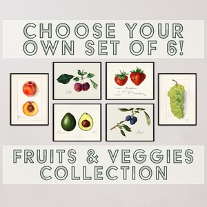 Set of 6 FRUITS & VEGGIES - Choose Your Own Art Print Set! Redouté Giclée Prints, Digital Prints, Vintage Botanical Prints, French, Bohemian