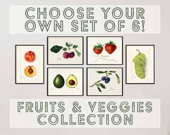 May include: A set of six vintage botanical illustrations of fruits and vegetables. The illustrations are in a black frame and feature a peach, avocado, grapes, plums, strawberries, and apples.