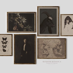 Op de afbeelding: Een verzameling van zes ingelijste vintage prints met een donkere, sfeervolle esthetiek. De prints tonen een geit, een vrouw met lang haar, een schedel, vlinders, bloemen en een portret van een persoon.