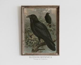Edgar Allen Poe Ravens, Raven Art Print, Gothic Victorian Aesthetic, Dark Academia, Vintage Gothic Bird Print, Black Bird Crow Painting