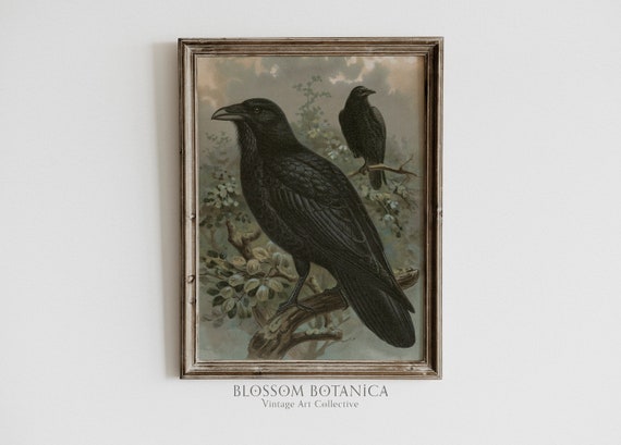 Edgar Allen Poe Ravens, Raven Art Print, Gothic Victorian Aesthetic, Dark Academia, Vintage Gothic Bird Print, Black Bird Crow Painting