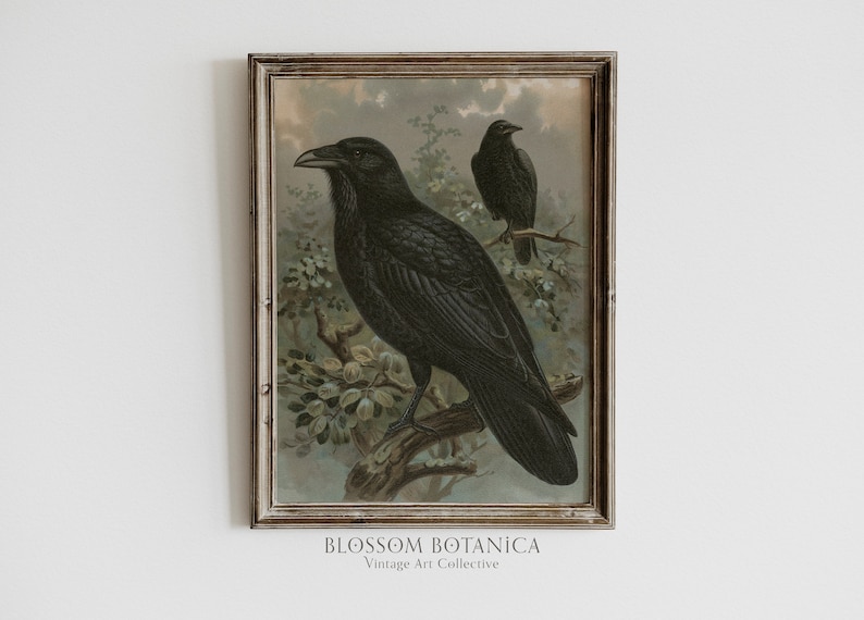May include: A vintage illustration of two black ravens perched on branches. The ravens are depicted in a realistic style with detailed feathers and sharp beaks. The background is a soft, muted green and brown, creating a sense of depth and atmosphere. The image is framed in a rustic wooden frame with a white mat.