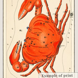 K&ouml;nnte beinhalten: Eine Vintage-Illustration des Sternbilds Krebs, dargestellt als roter Krebs mit schwarzen Sternen auf cremefarbenem Hintergrund. Das Sternbild ist mit "Cancer" und "Pl. 19." beschriftet. Das Bild ist Teil einer gr&ouml;&szlig;eren Sammlung von Sternbild-Illustrationen.