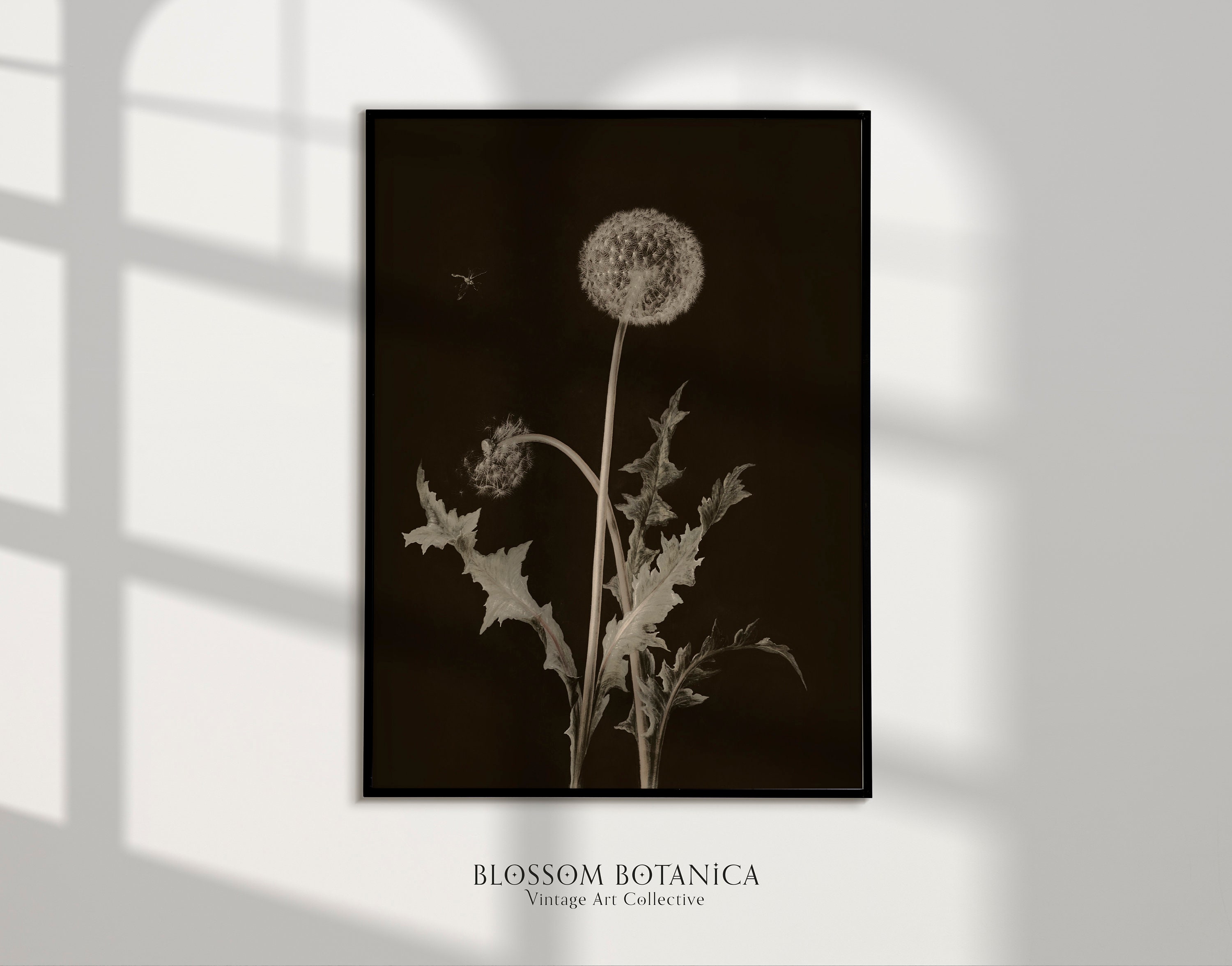 Dark Dandelion Art Print Moody Art Dark Botanical Dark - Etsy