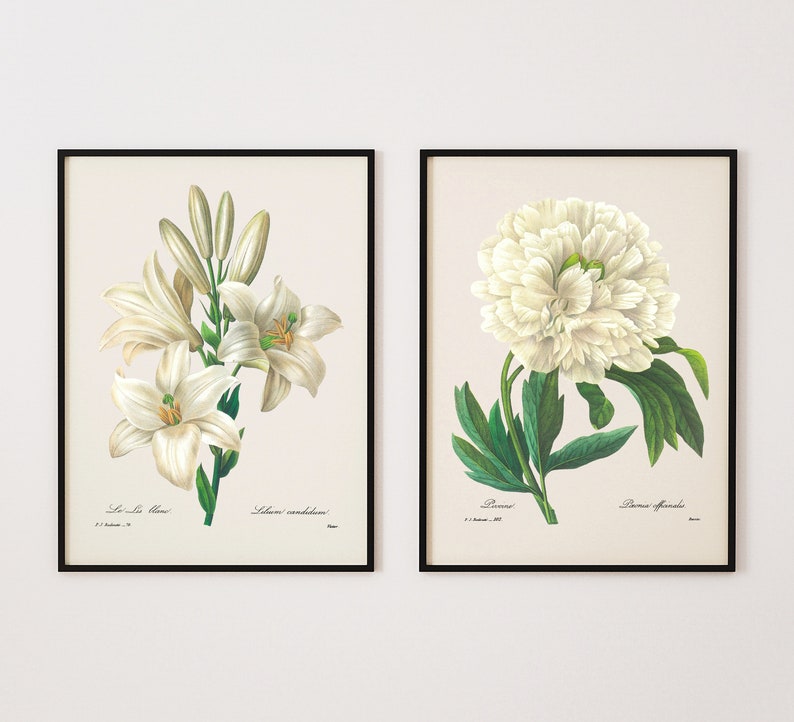 Museum Quality Art Prints Set of Two White Botanical Prints Etsy