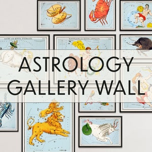 Mur de galerie astrologique | Illustrations de Sidney Hall de 1831 | Constellations du zodiaque | Cadeau d'astrologie | Impression jet d'encre | Horoscope du zodiaque