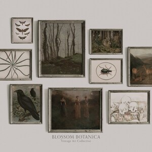 May include: A gallery wall with nine framed prints featuring nature and wildlife themes. The prints include a forest scene, a crow, a beetle, a deer, a moth, a skull, and a plant. The frames are all silver and have a simple design. The text "BLOSSOM BOTANICA Vintage Art Collective" is at the bottom of the image.