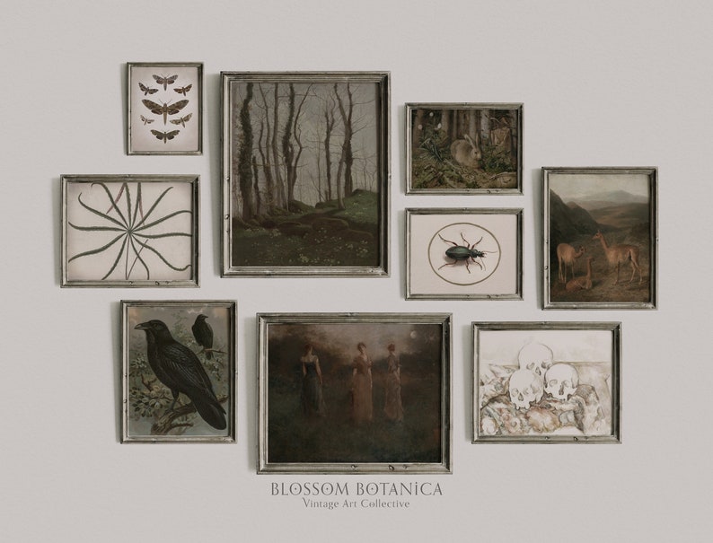 May include: A gallery wall with nine framed prints featuring nature and wildlife themes. The prints include a forest scene, a crow, a beetle, a deer, a moth, a skull, and a plant. The frames are all silver and have a simple design. The text "BLOSSOM BOTANICA Vintage Art Collective" is at the bottom of the image.
