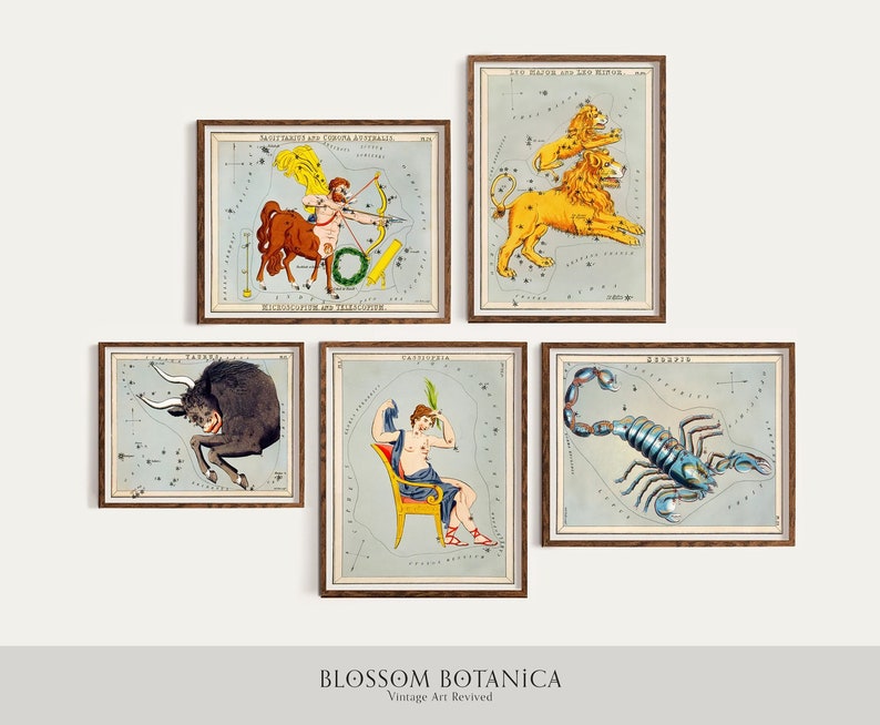May include: Five vintage illustrations of constellations, framed in brown wood. The constellations are Taurus, Sagittarius, Leo, Scorpio, and Cepheus. Each illustration features a detailed depiction of the constellation with stars and a mythological creature.