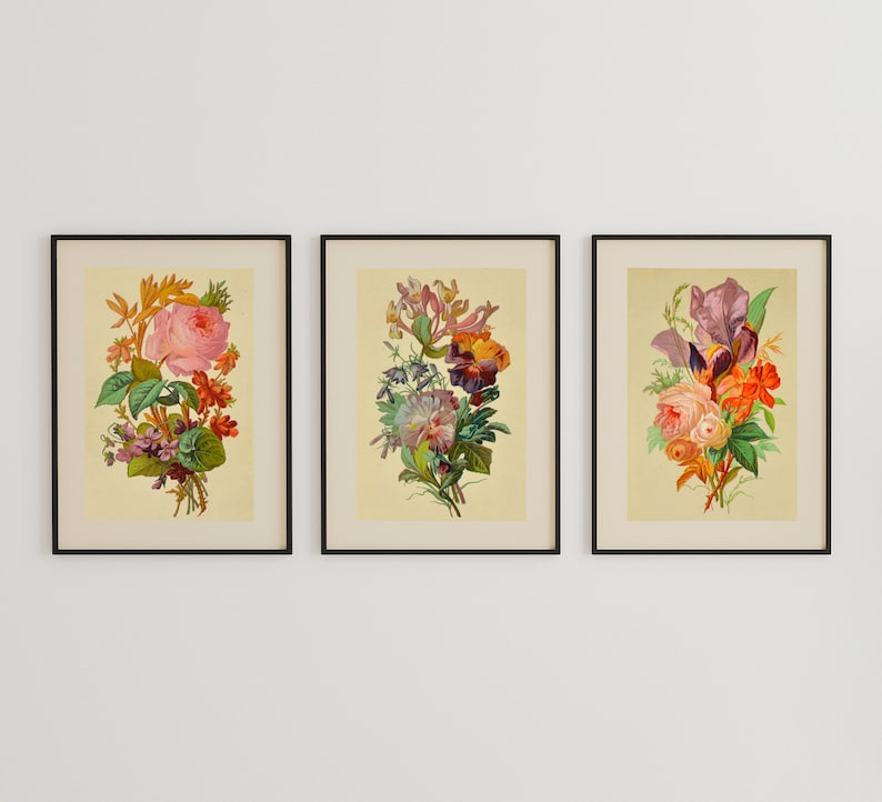 Roses Flowers Christmas Gifts Vintage French Illustrations GIFT SET: Set of 3 Vintage Botanical Prints Antique Engravings from the 1800s