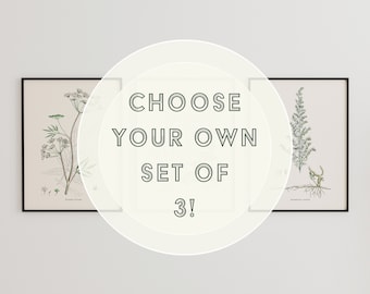 May include: Three framed botanical prints with black frames and white mats. The prints feature detailed illustrations of plants with Latin names. The text "Choose your own set of 3!" is superimposed on the image.