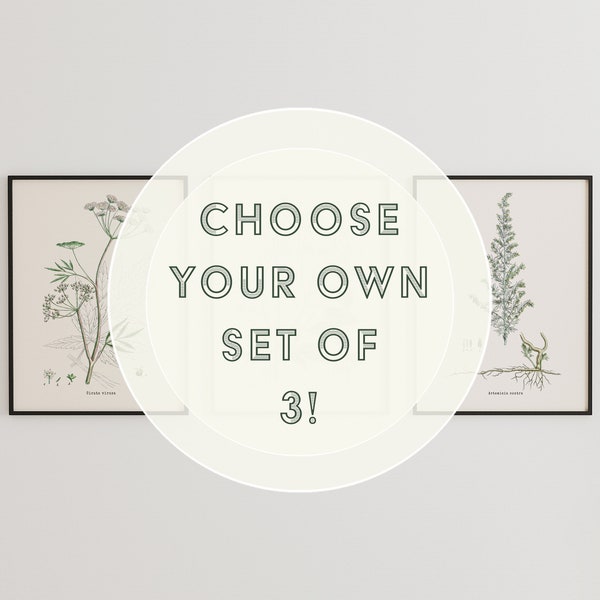 Set of 3 - Choose Your Own Art Print Set! Vintage Botanicals, Customizable Sizes, Set of Three Giclée Prints of Vintage French Illustrations