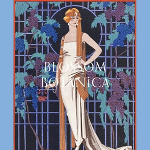 Puede incluir: Ilustraci&oacute;n art d&eacute;co titulada "Des Roses Dans La Nuit", que presenta a una mujer con un vestido blanco y pelo largo naranja, sosteniendo una rosa. El fondo incluye un enrejado con uvas azules y moradas, y el texto "Blossom Botanica".