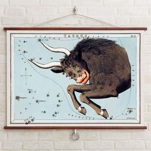 Sidney Hall's (1831) Sterrenbeeld Stier | Stier afdrukken | Stier Stier | Astrologie cadeau | Giclee-afdruk | Dierenriemhoroscoop | Tarotkaarten kunst