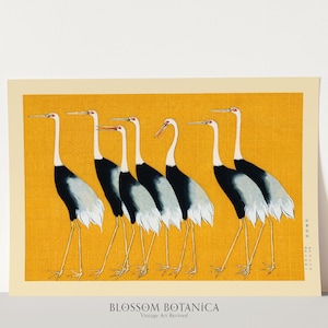 May include: A vintage poster featuring a line of seven black and white cranes with red beaks and legs, walking in a single file line on a yellow background. The poster has the text "BLOSSOM BOTANICA Vintage Art Revived" at the bottom.