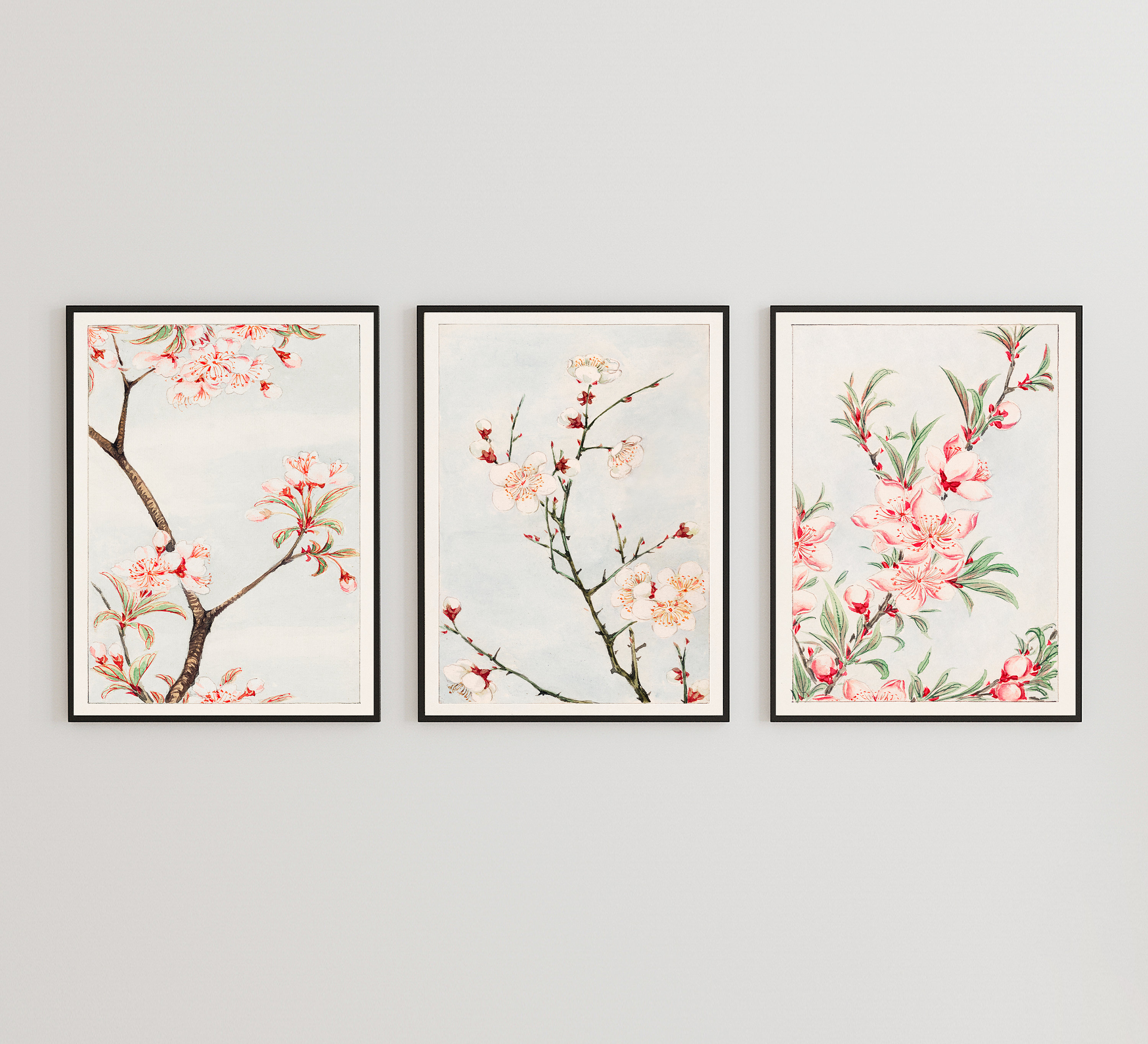 Megata Morikaga Prints | Rare Vintage Art | Japanese Art | 19th