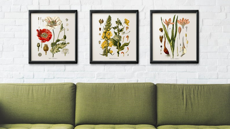 Vintage Botanical Print Set, Customizable Sizes, Set of Three Giclée Prints of Vintage French Illustrations, Antique Wall Art, Kitchen Art image 2