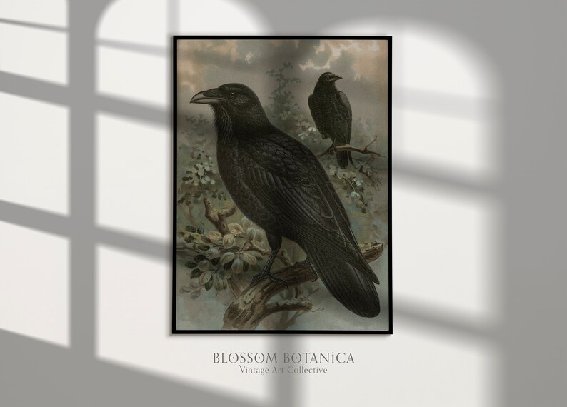 May include: Vintage botanical illustration featuring two black ravens perched on branches. The ravens are depicted in a realistic style with detailed feathers and sharp beaks. The background is a soft, muted green with hints of brown and gray.