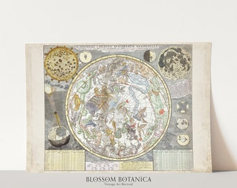 Vintage Astrology Map from 1700s | Celestial Constellations Chart | 18th Century | Astrology Art | Giclee Print | Carel Allard | Antique Map
