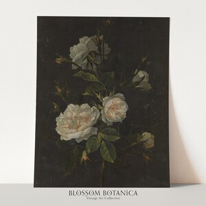 May include: A vintage botanical illustration of white roses with green leaves against a dark background. The image is titled "BLOSSOM BOTANICA" with the text "Vintage Art Collective" below.