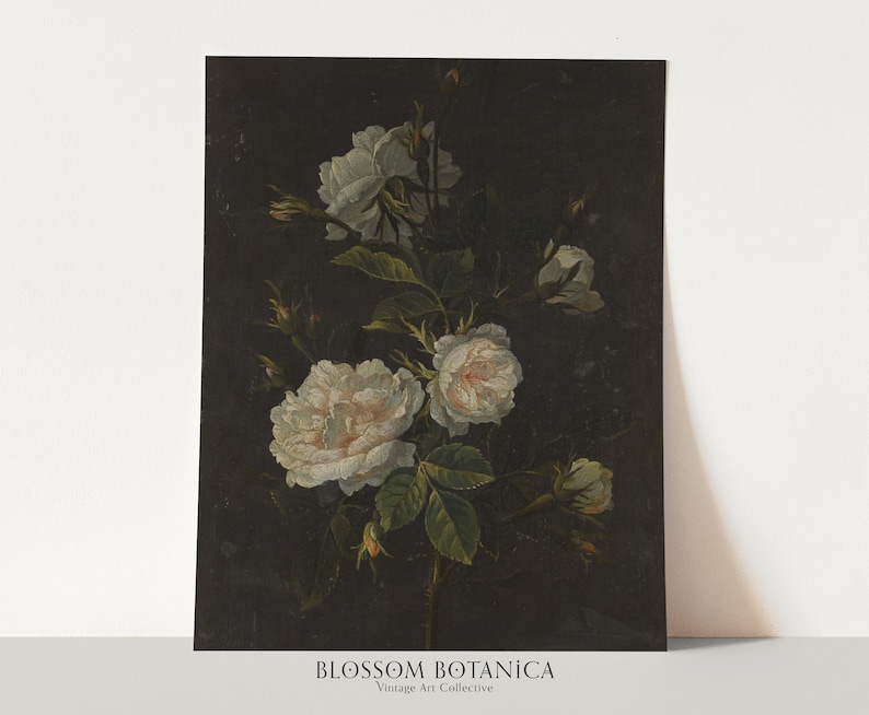 May include: A vintage botanical illustration of white roses with green leaves against a dark background. The image is titled "BLOSSOM BOTANICA" with the text "Vintage Art Collective" below.