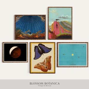 Pop of Color Gallery Wall, Kunst aus 1700s 1800s, Hall of Stars, Geologische Karte, Vintage Karte, Mondfinsternis, Eulen Schmetterlinge, Leinwand