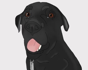 Custom Pet Illustration | Digital Pet Drawing | Cute, Sentimental, Gift, Animal, Painting, Dogs, Cats, Birds